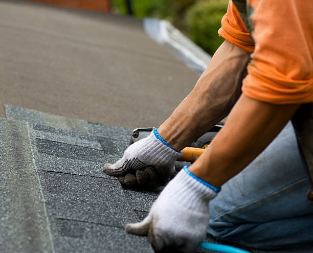 Best Roof Maintenance Services  in Moodus, CT